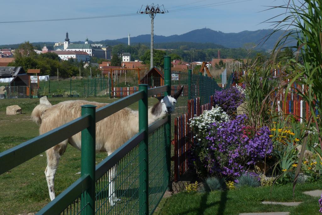 Farma Wenet Βίλα Broumov Εξωτερικό φωτογραφία