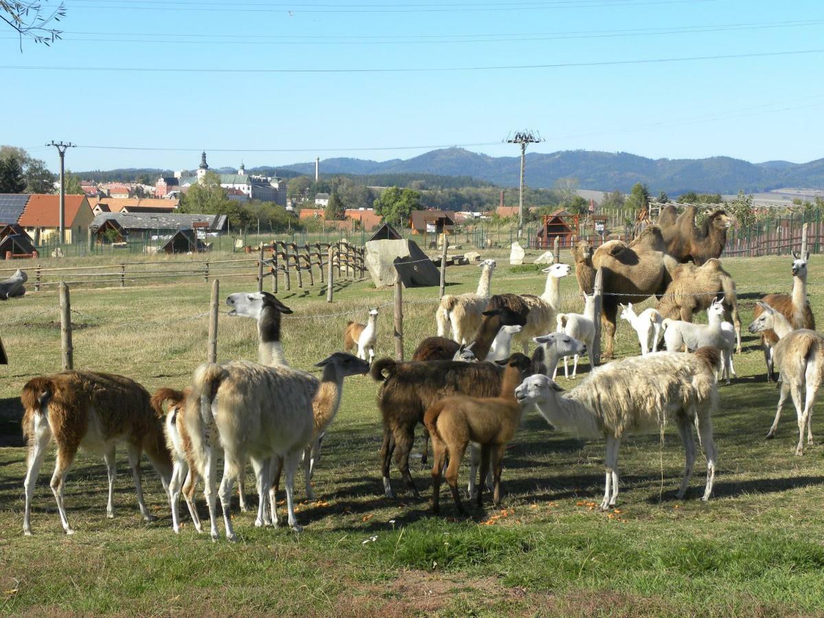 Farma Wenet Βίλα Broumov Εξωτερικό φωτογραφία